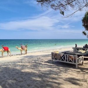 Bahari Dhow Beach Villas - Beach